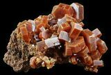 Red & Brown Vanadinite Crystals on Matrix - Morocco #51307-1